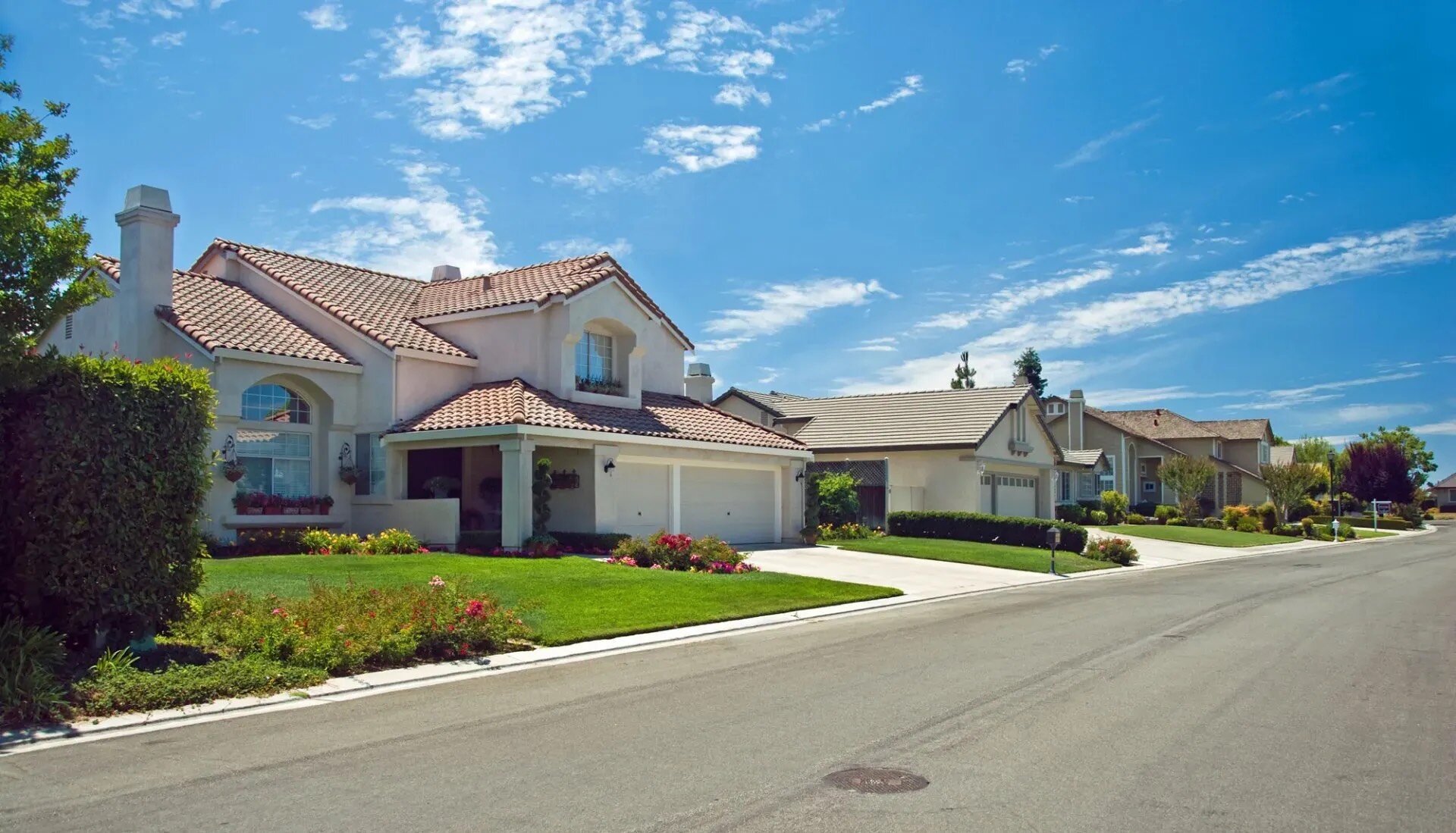 Large suburban homes with asphalt shingles and green lawns in daytime